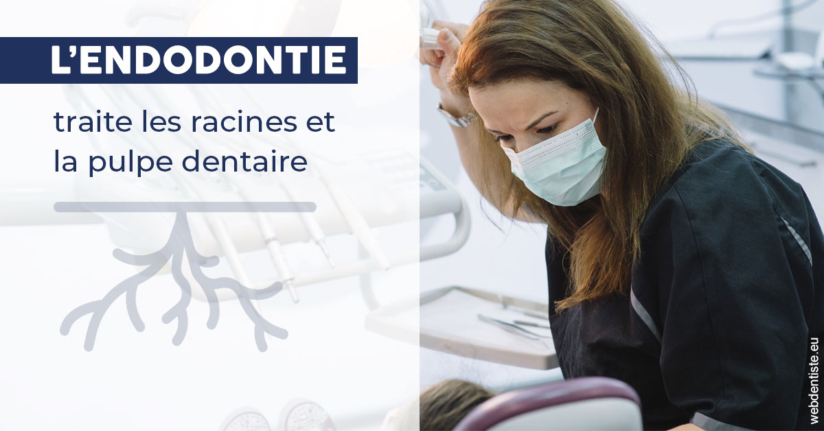 https://dr-charles-graindorge.chirurgiens-dentistes.fr/L'endodontie 1
