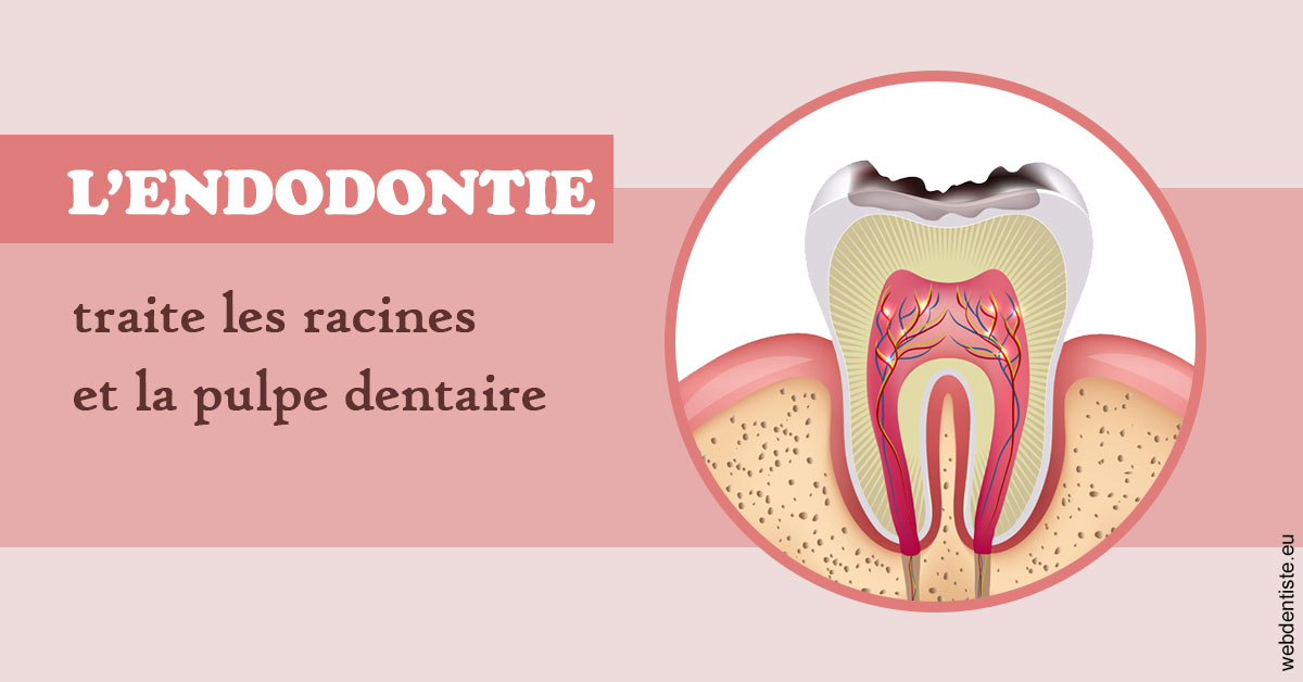 https://dr-charles-graindorge.chirurgiens-dentistes.fr/L'endodontie 2