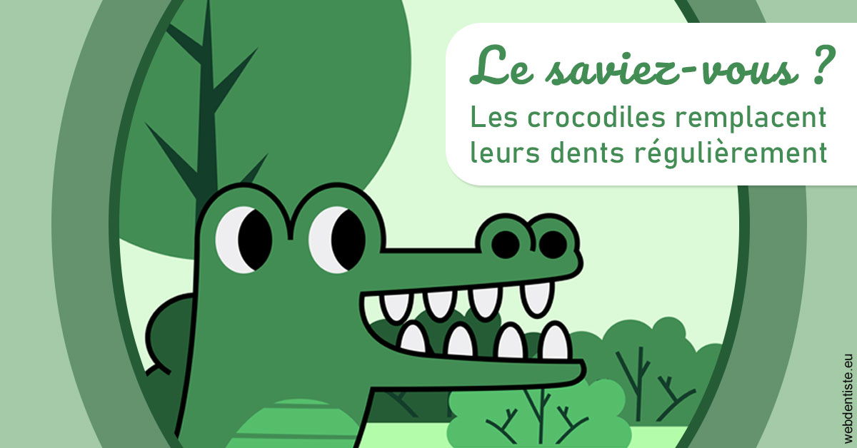 https://dr-charles-graindorge.chirurgiens-dentistes.fr/Crocodiles 2